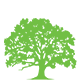 Oak Wood Furniture